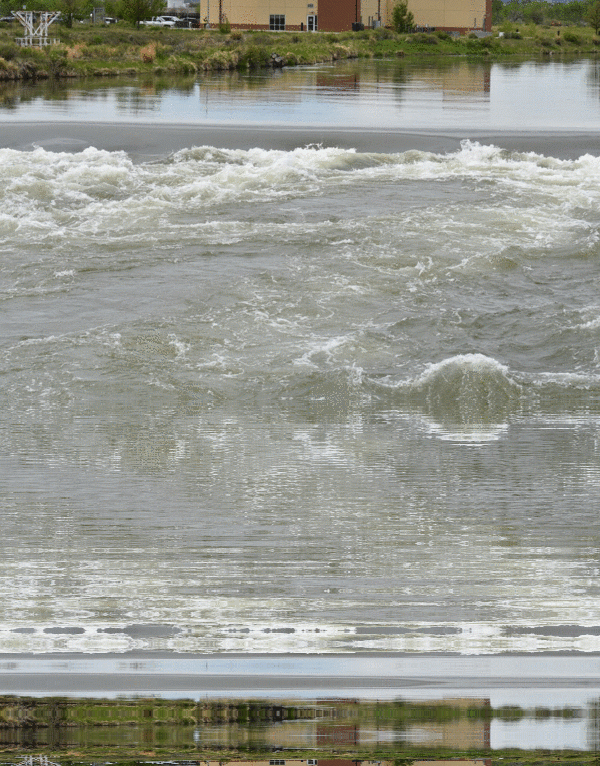 imageedit_76_9410928378.gif