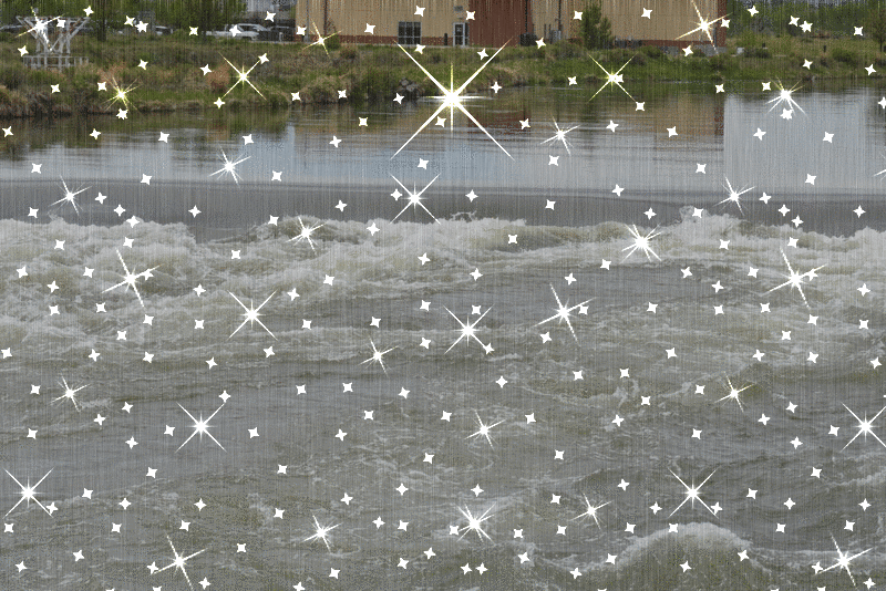 imageedit_89_8729224886.gif