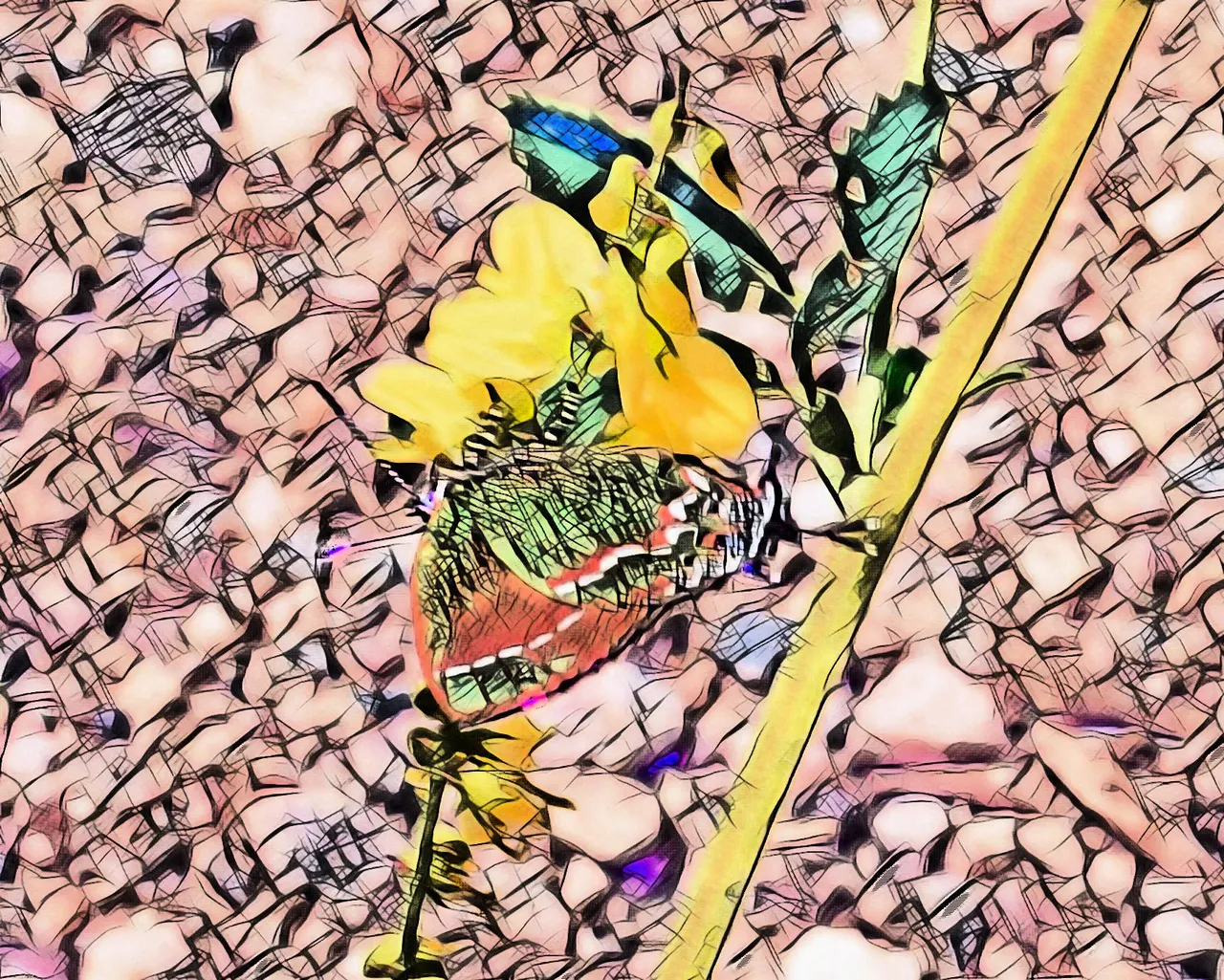 imageedit_30_4355523178.jpg