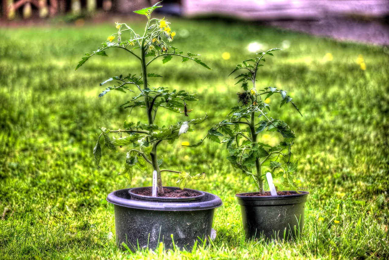 IMG_4786_7_8_tonemapped.jpg