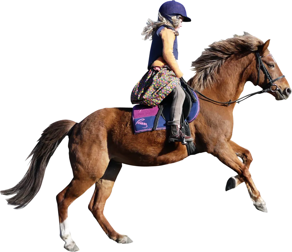 horse_1024x885.png