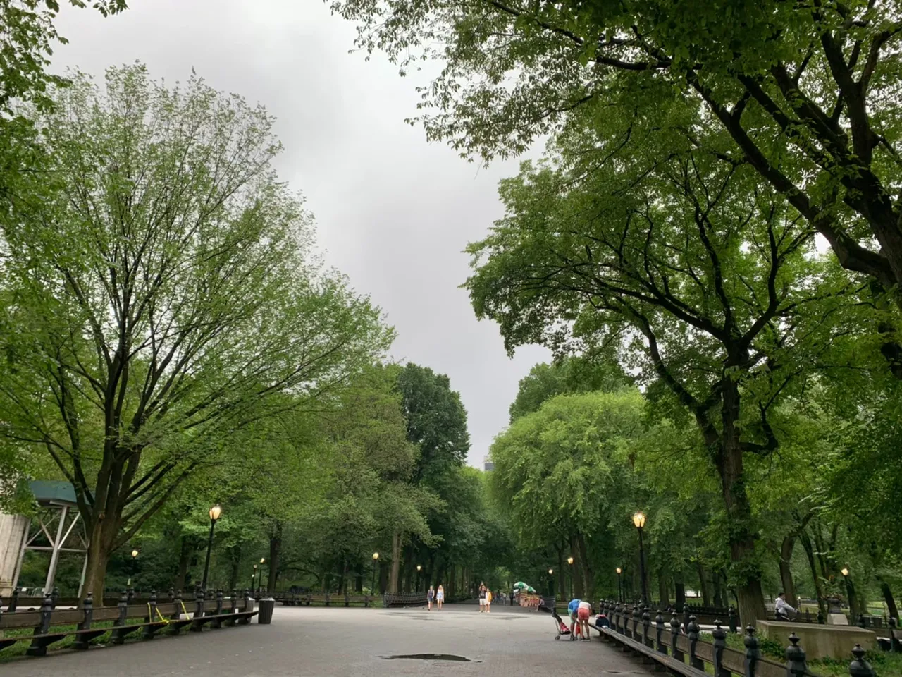 central_park20.jpg