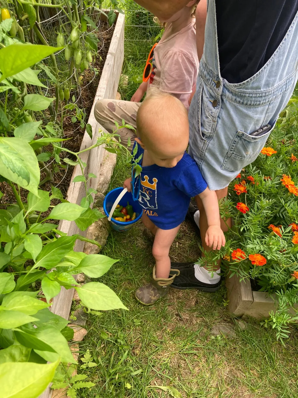 Little Helpers