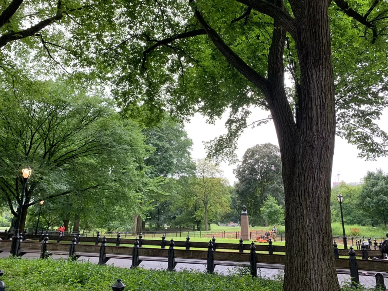 central_park16.jpg