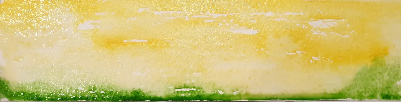 20221119_121518.jpg