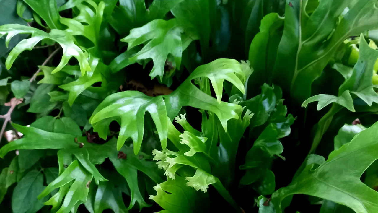 20230821_180507.jpg