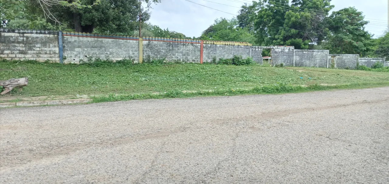 20250626_115029.jpg
