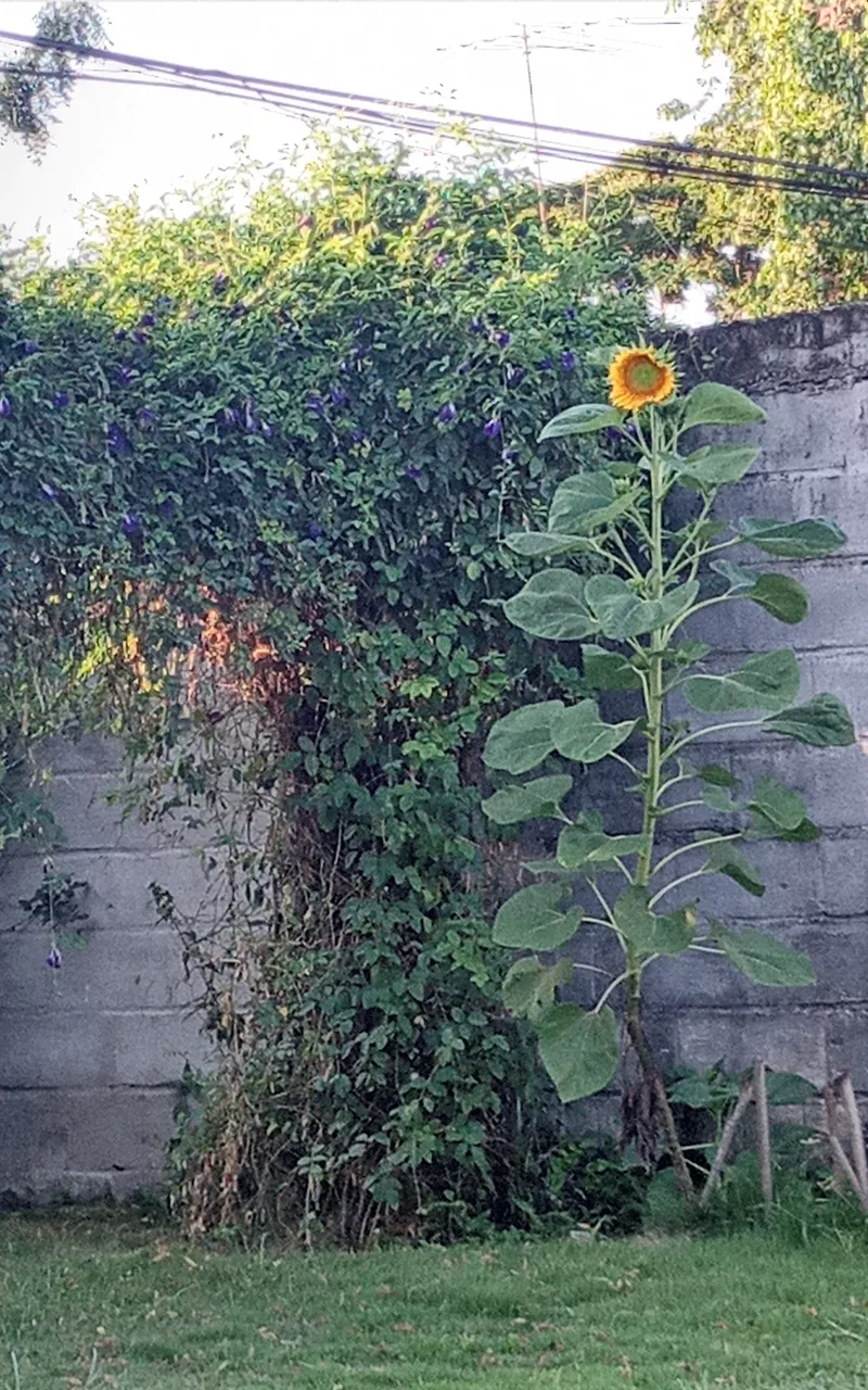 20230827_065410.jpg