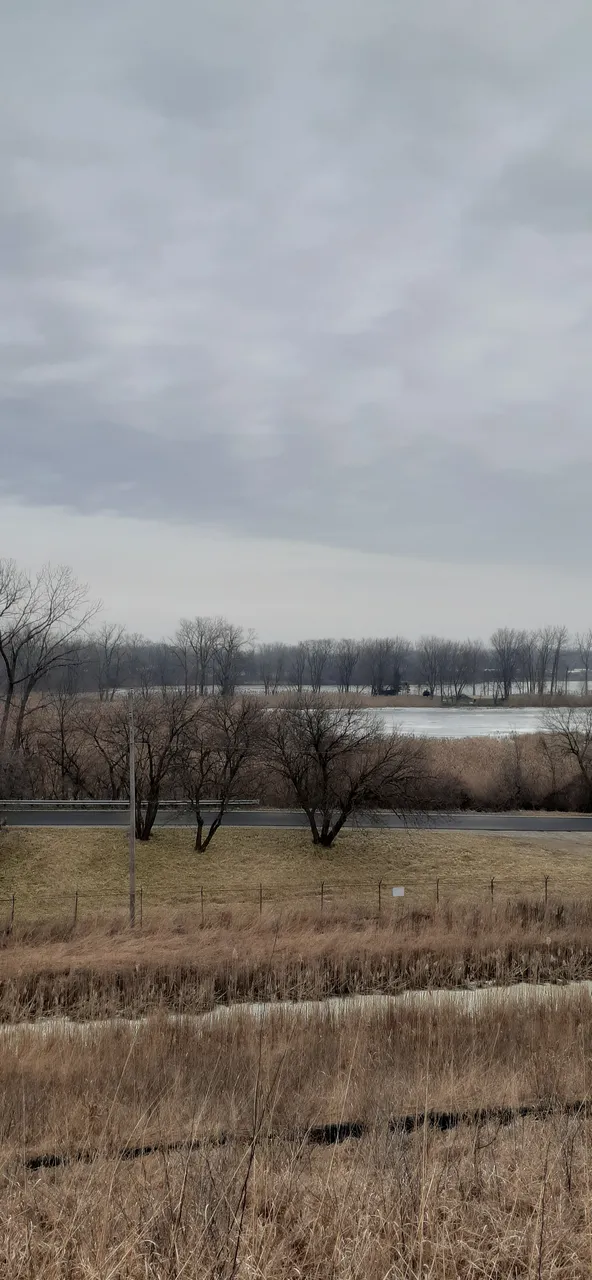 20220113_115529.jpg