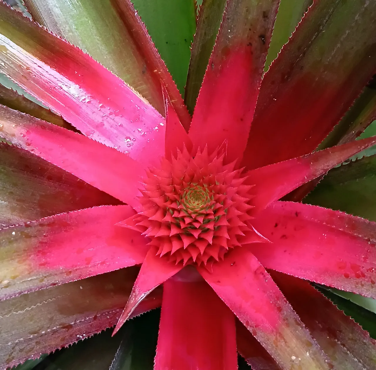 20250731_091606.jpg