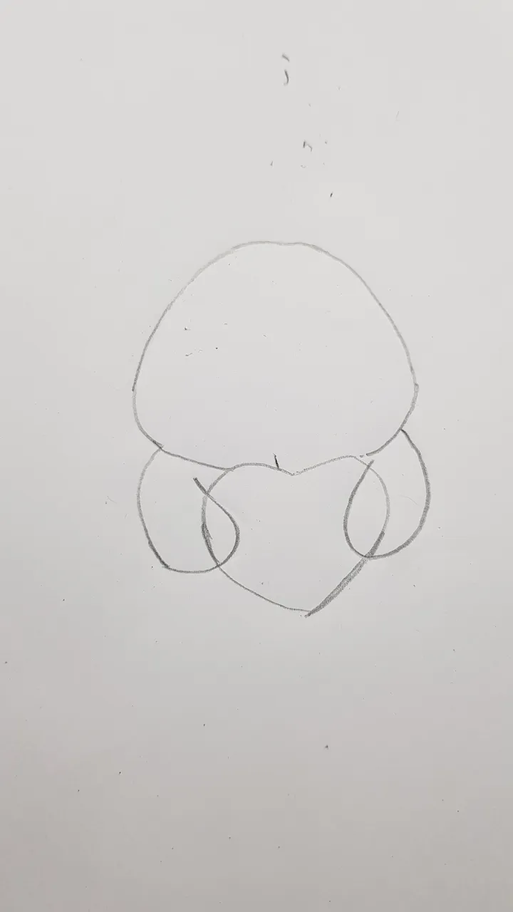 20220225_231103.jpg