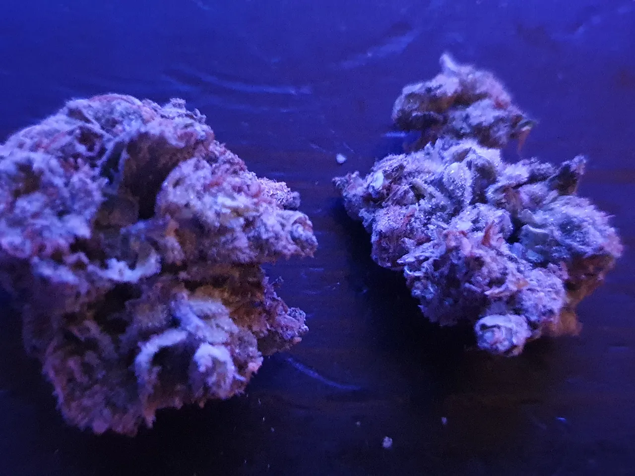 20211201_212527.jpg
