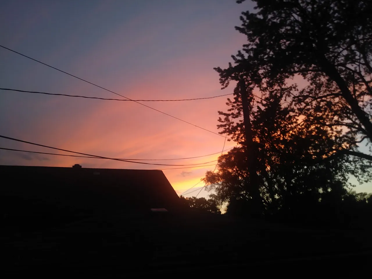 20180526_202816.jpg