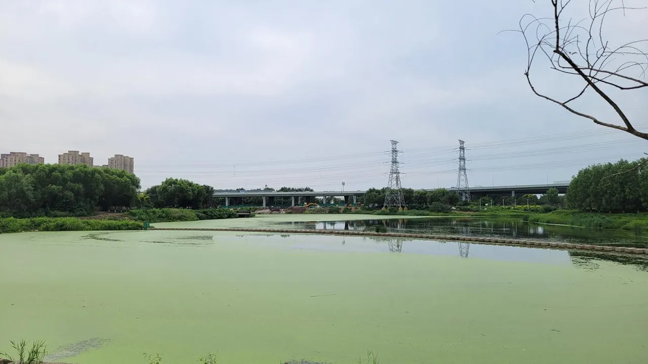 20250808_135249.jpg