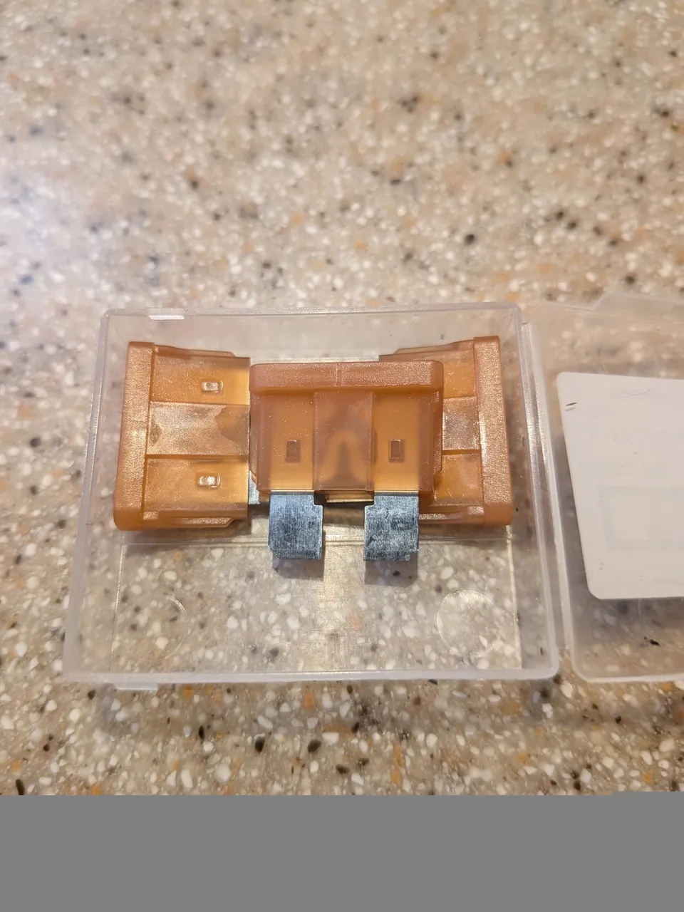 fuses-lunenburg.jpg