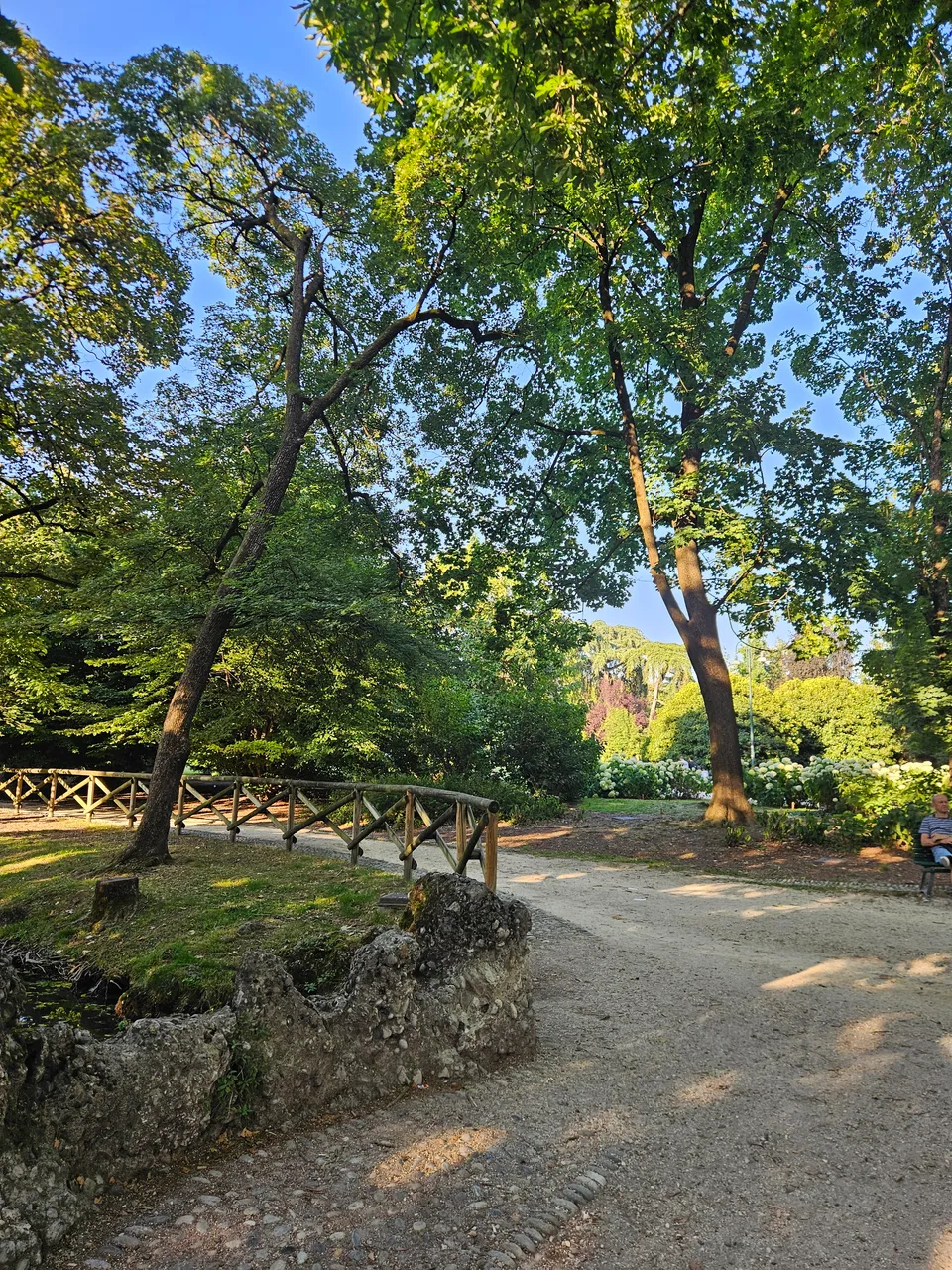 20250622_191207.jpg