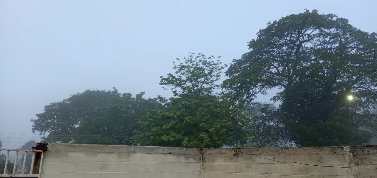 20250720_064135.jpg