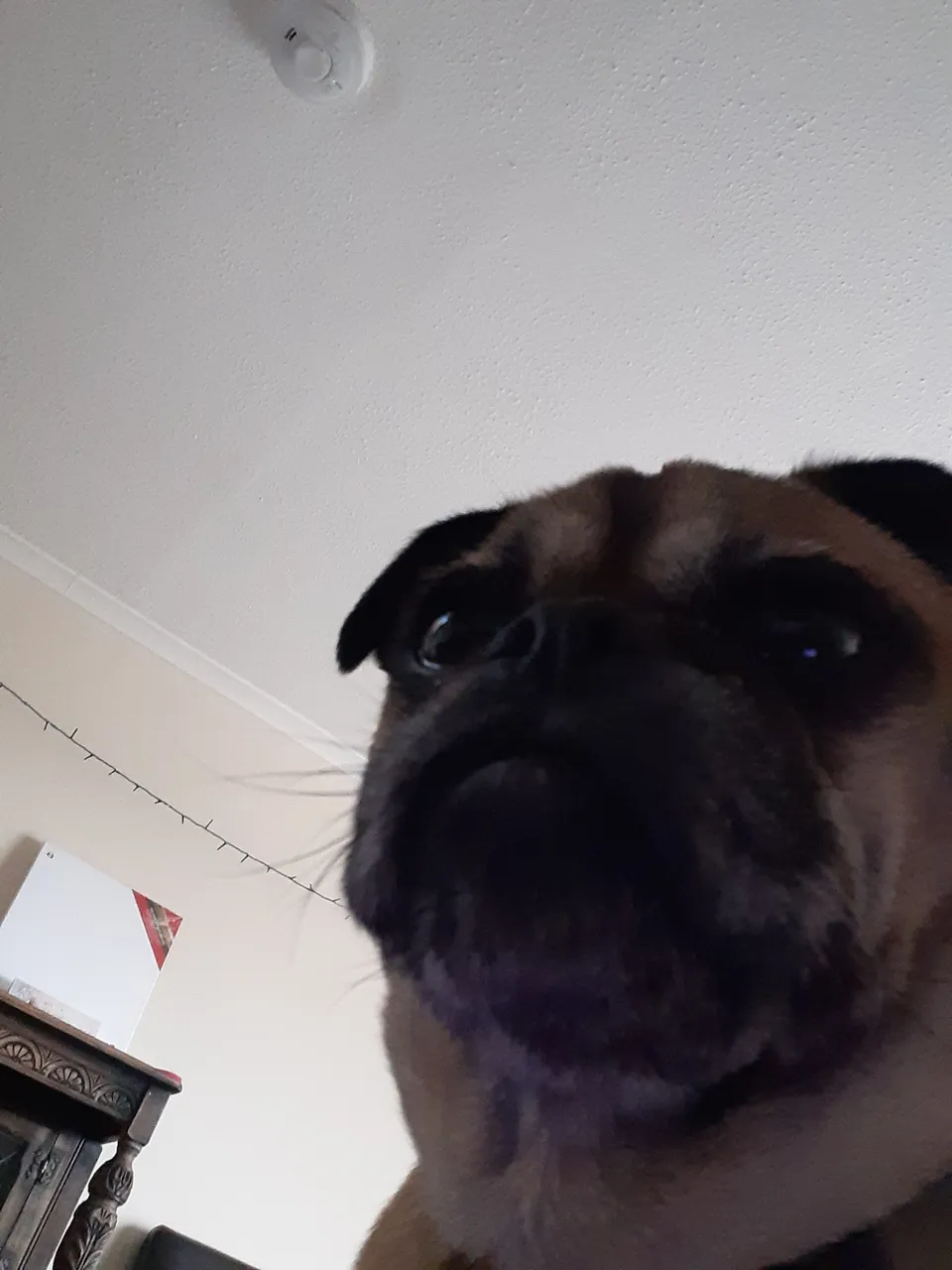 20220423_180018.jpg