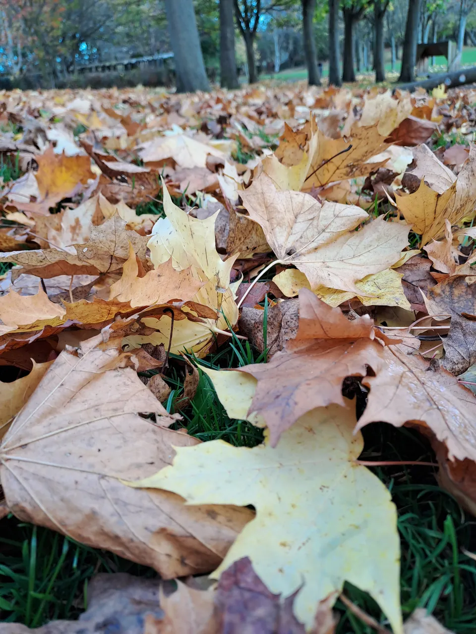 20221104_130808.jpg