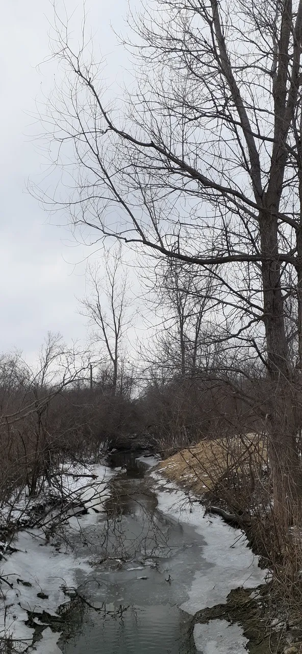 20220105_151150.jpg
