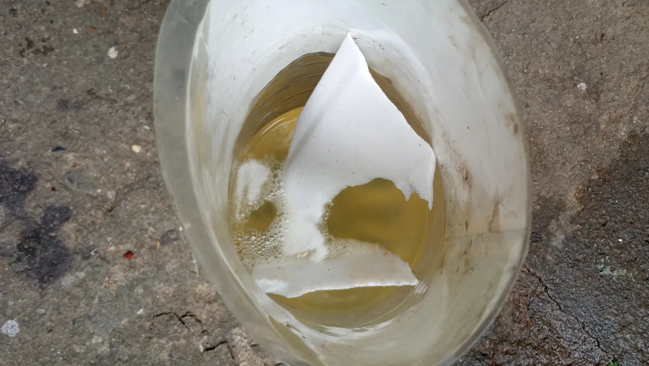 20230527_125431.jpg