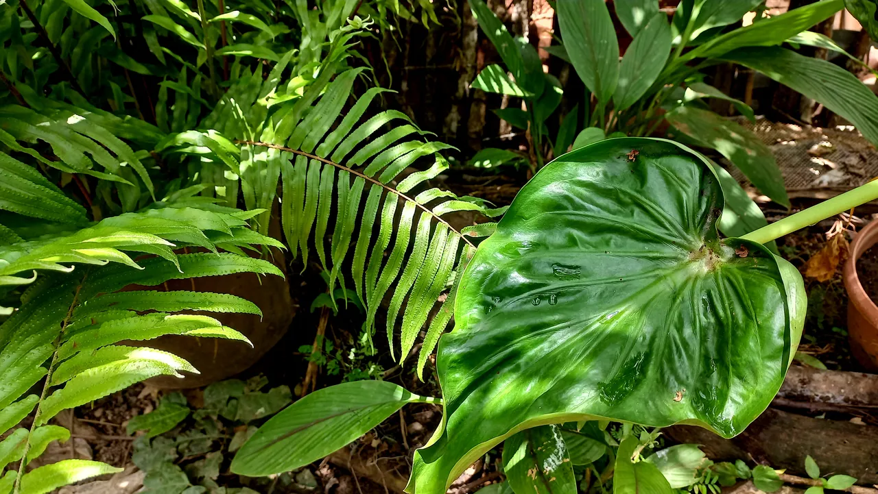 20230814_121031.jpg