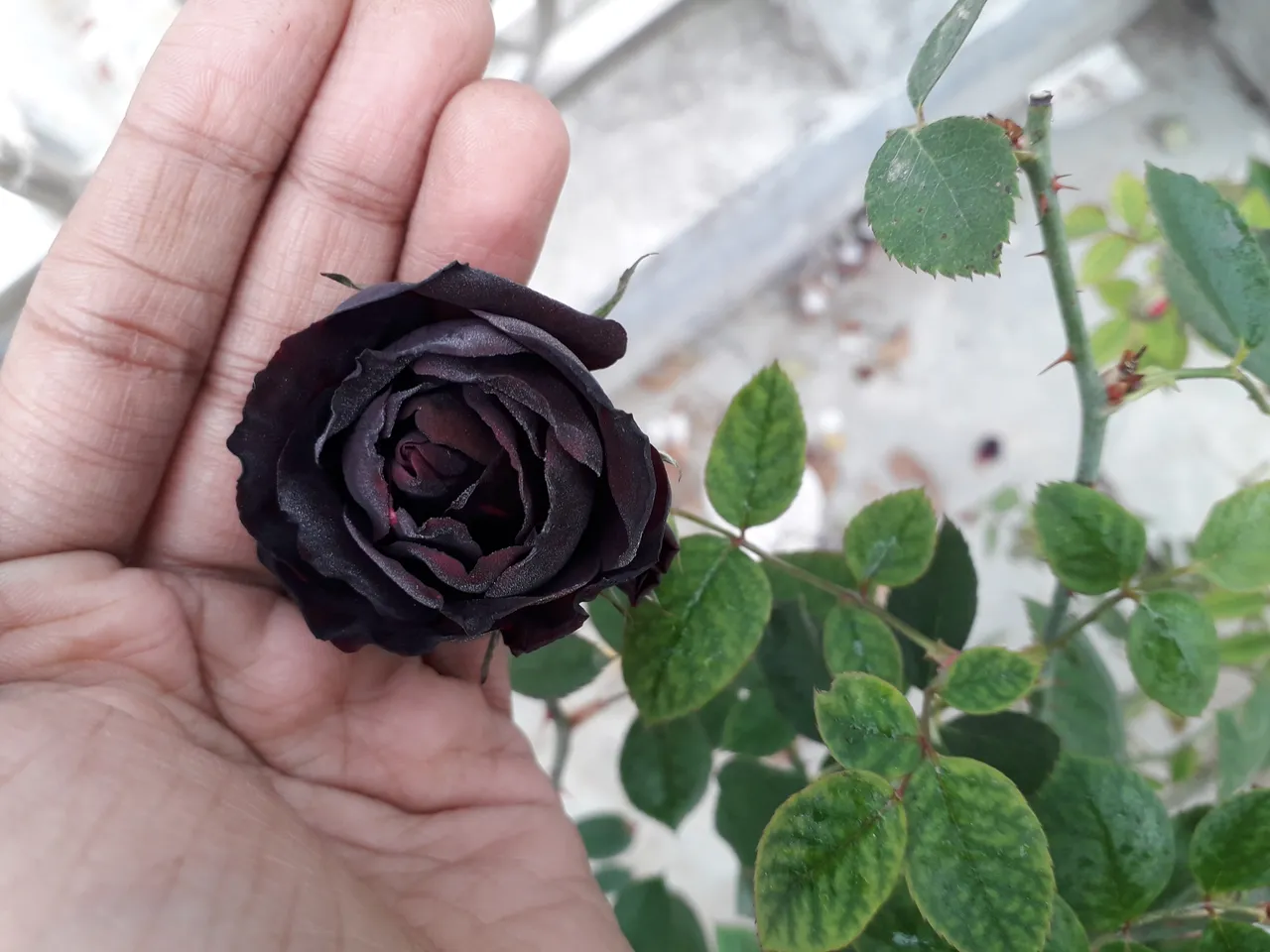 20191231_082808.jpg