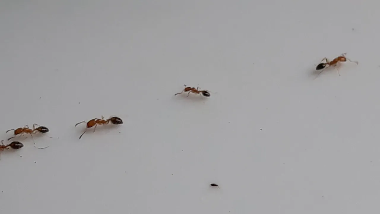 20250122_083147.jpg