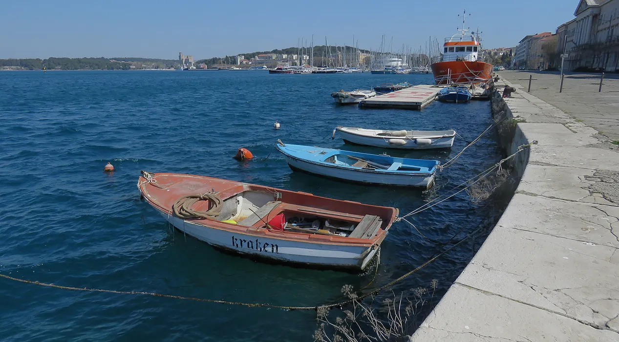 IMG_1819 malo.jpg