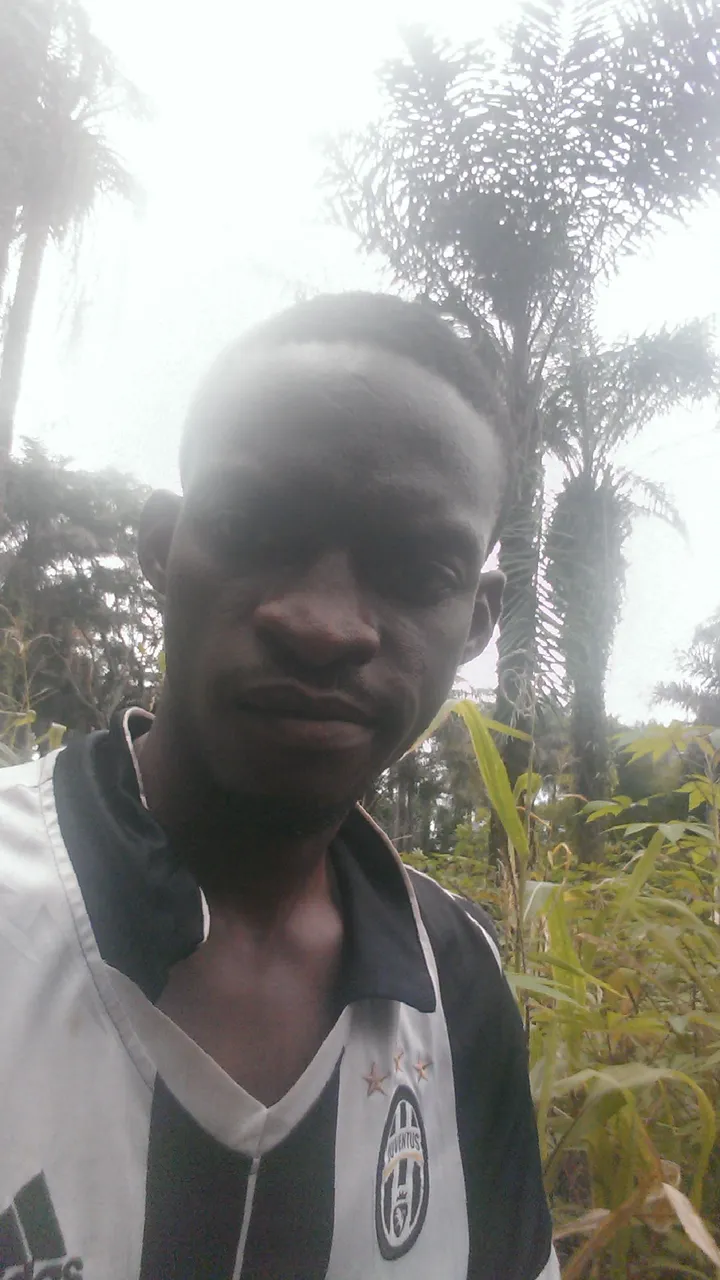 WP_20200807_013.jpg
