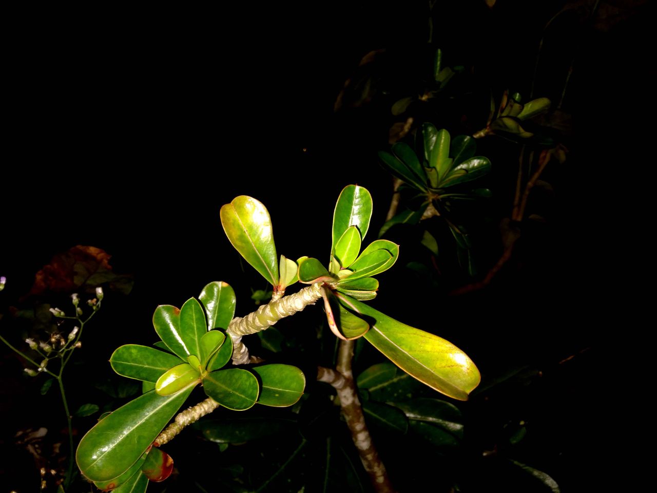 20210930_195415.jpg