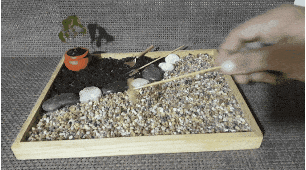 20201103_235909.gif