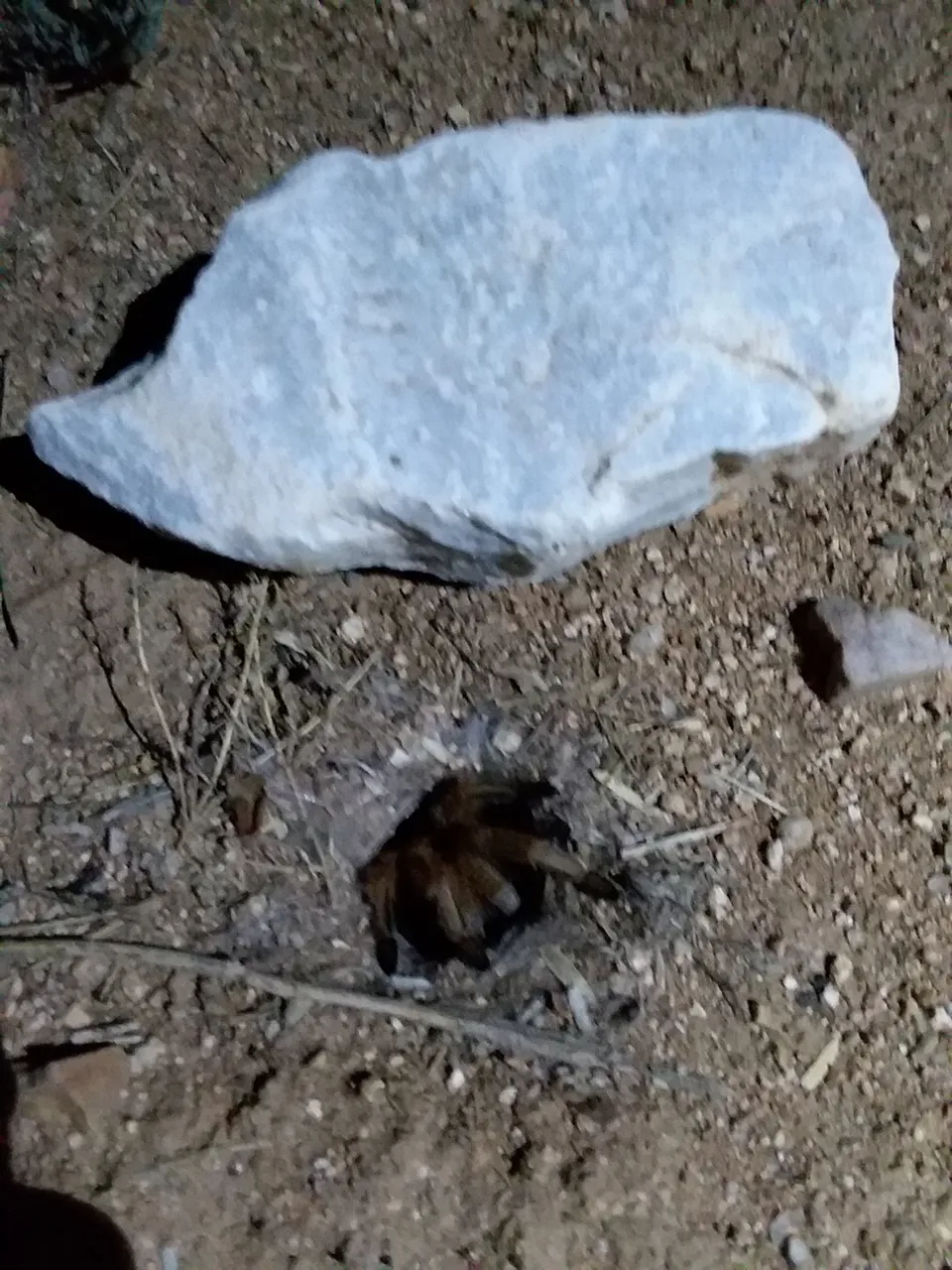 20180624_201020.jpg