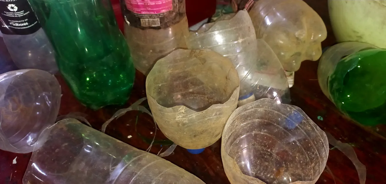 20240321_122820.jpg