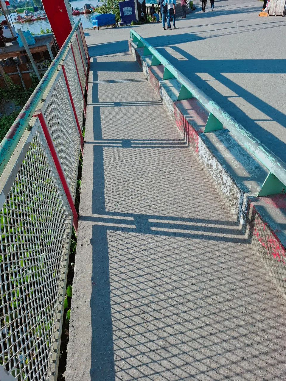 20251117_151137.jpg
