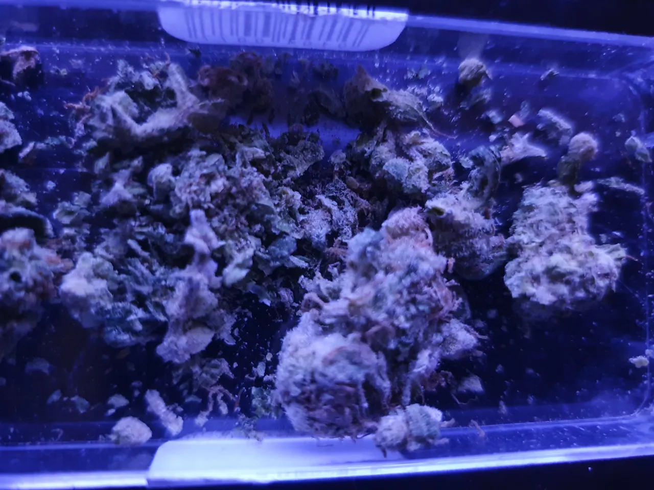 20220213_233241.jpg