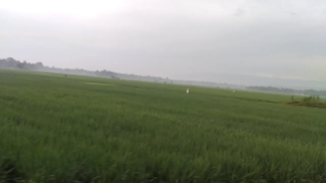 20240310_065906.jpg