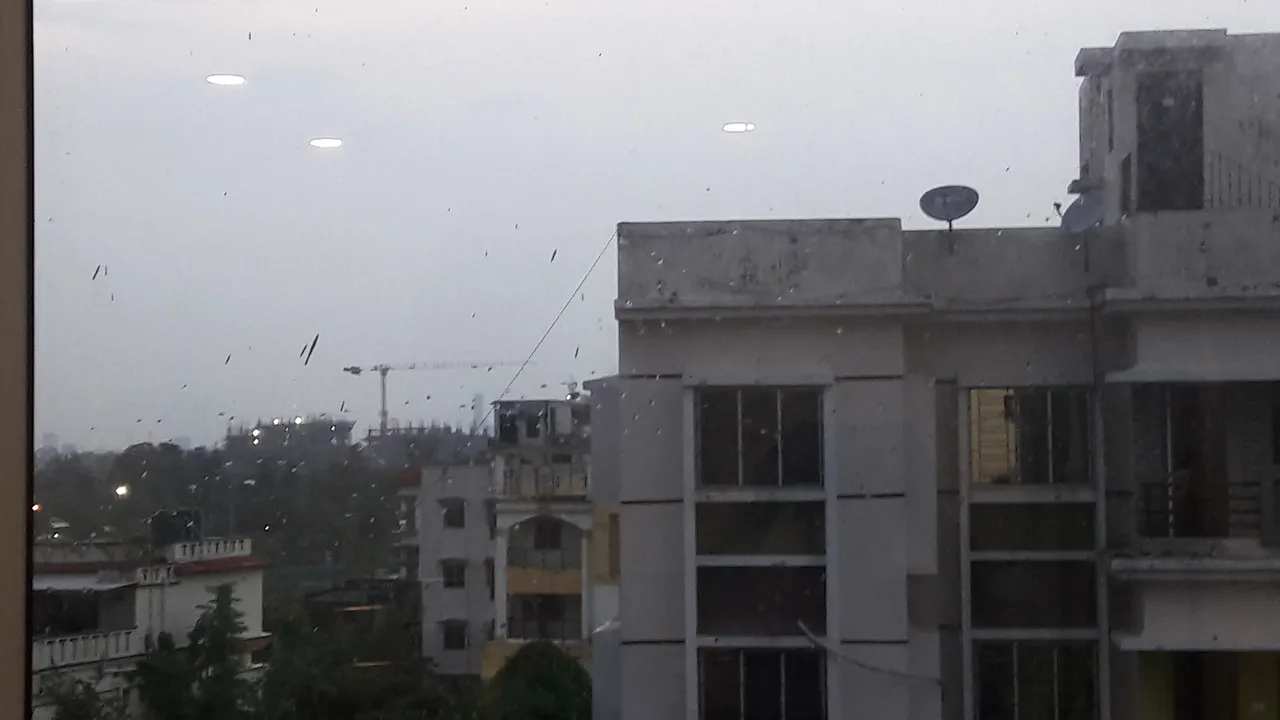 20200908_173851.jpg