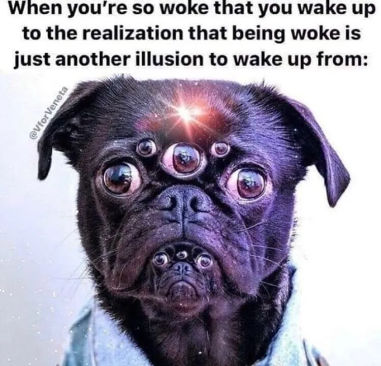 Broke Woke Joke.jpg