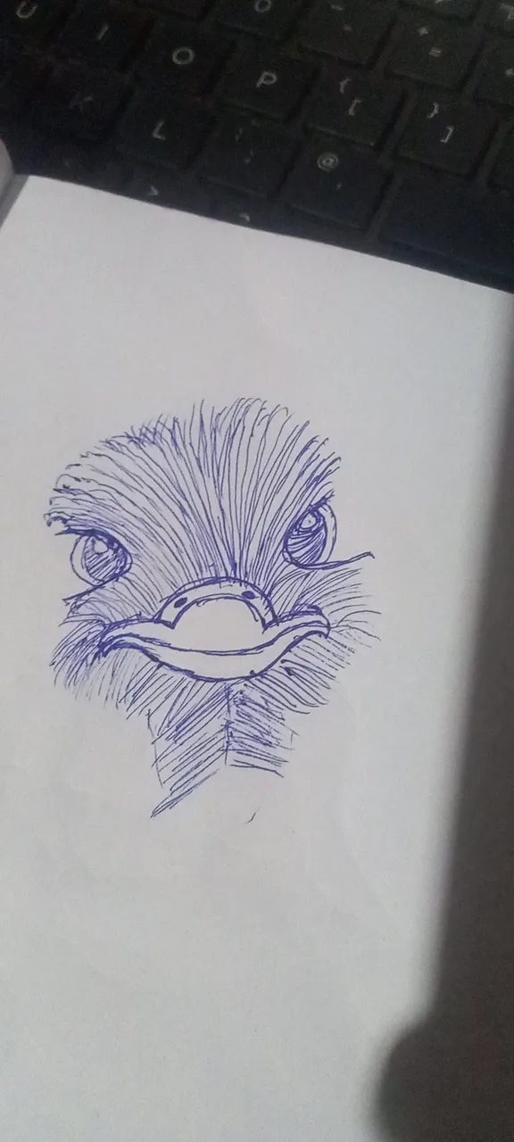 20240126_180845.jpg