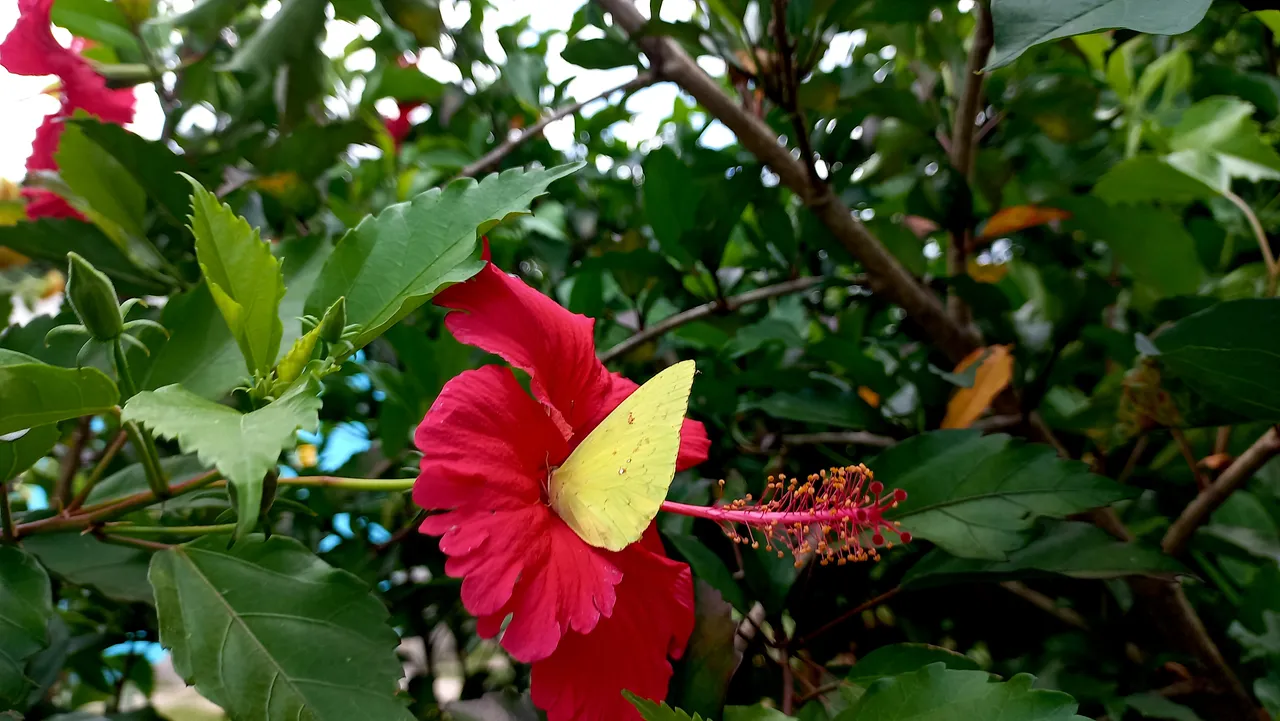 20230903_121501.jpg