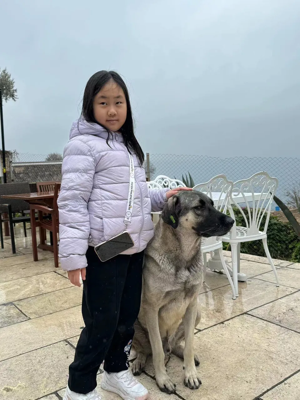 15-laocheng-dog.jpg