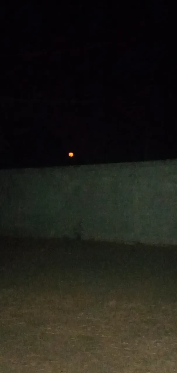 20240325_192045.jpg
