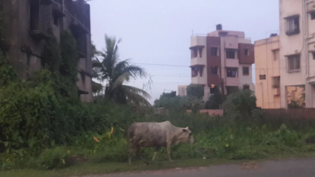 20200915_174137.jpg