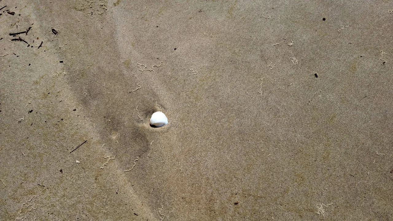 20250621_105642.jpg