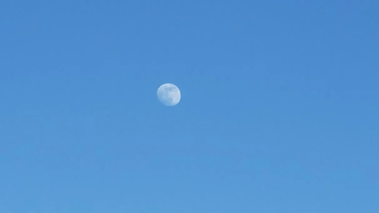20220611_191945.jpg