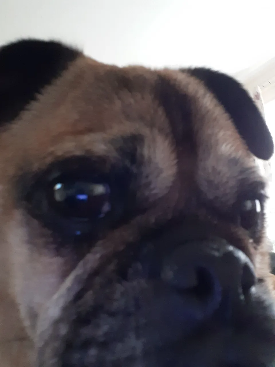 20220423_175842.jpg