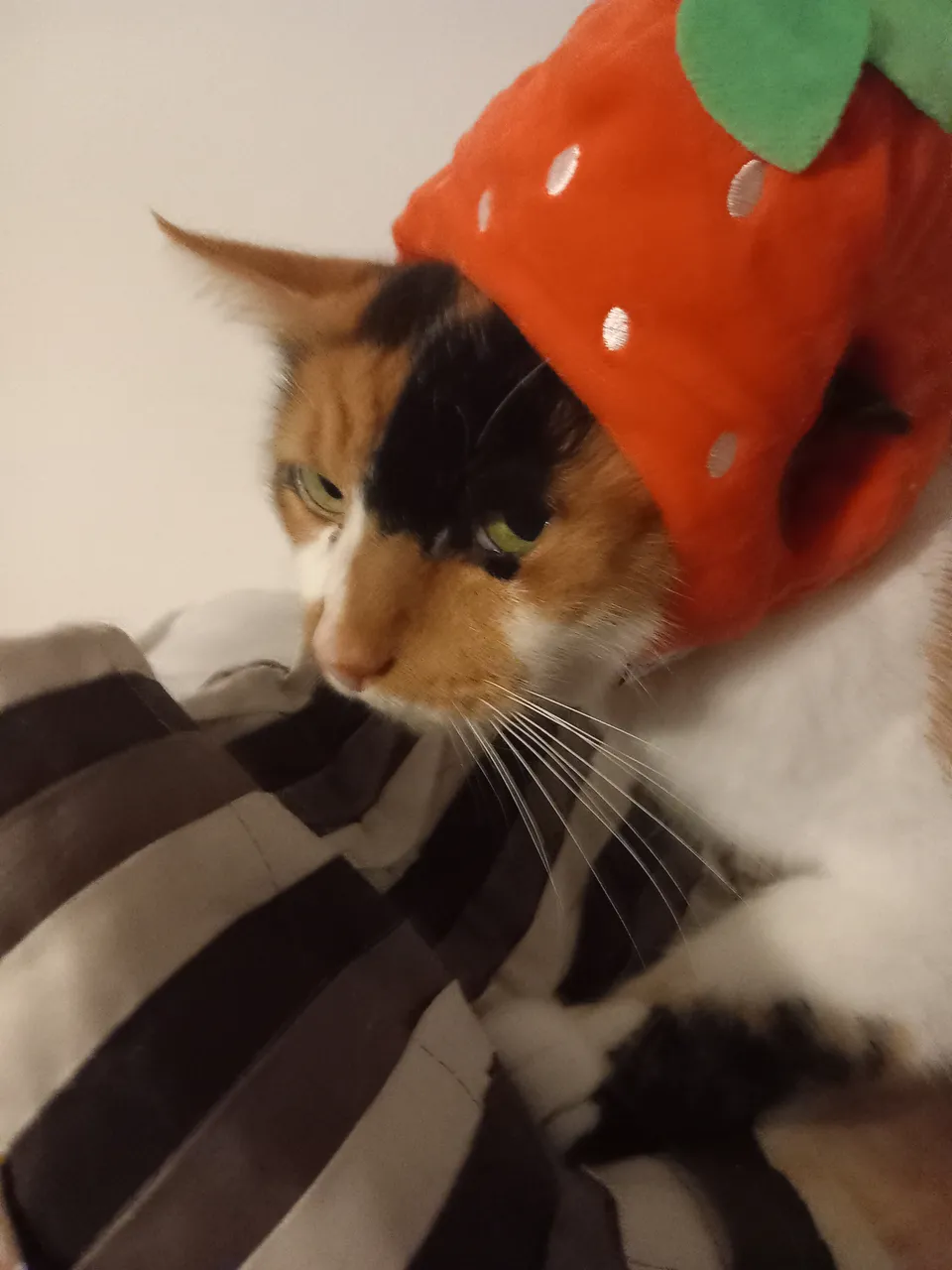 20231108_180224.jpg