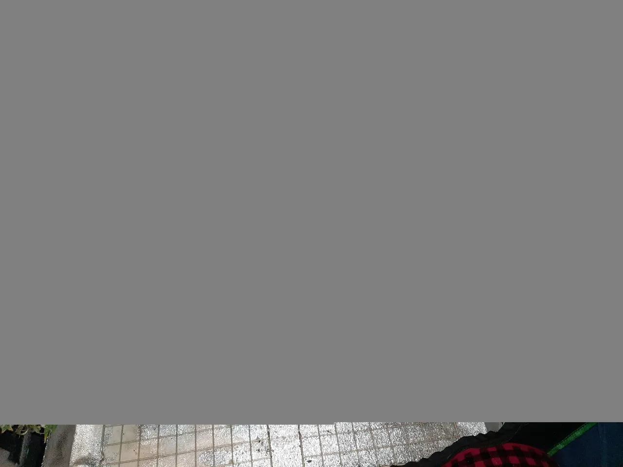 20210320_221721.jpg