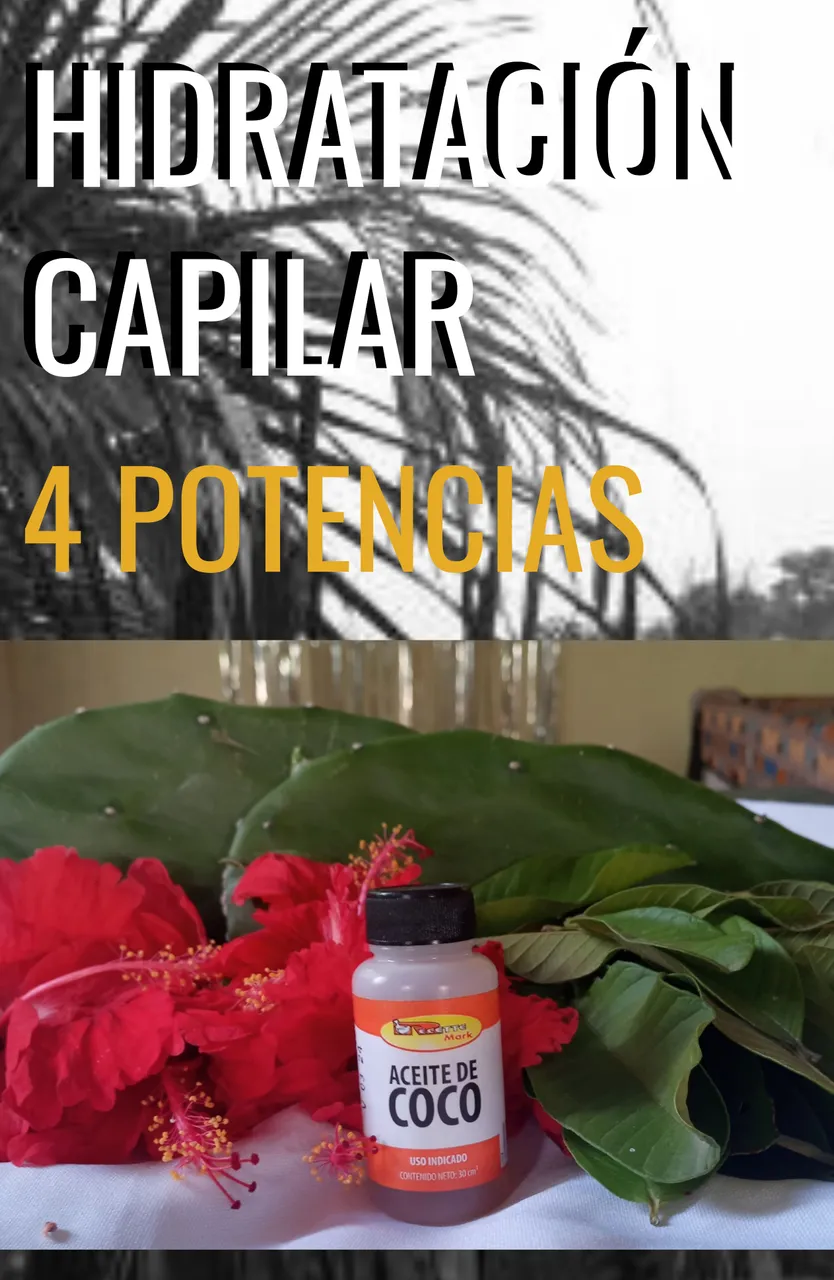 4 potencias (1).jpg